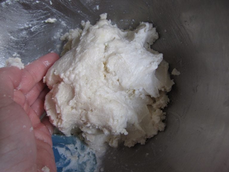 Julia Child's Pastry Dough, Pie Crust Recipe (Pizza Dough, etc