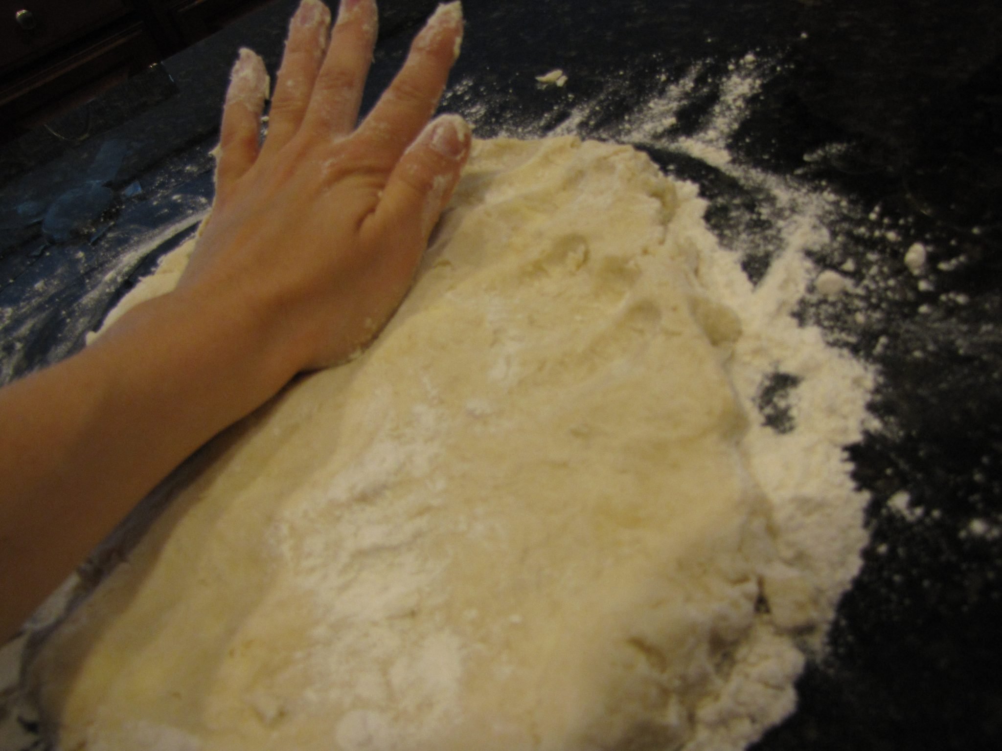 Julia Child's Pastry Dough, Pie Crust Recipe (Pizza Dough, etc