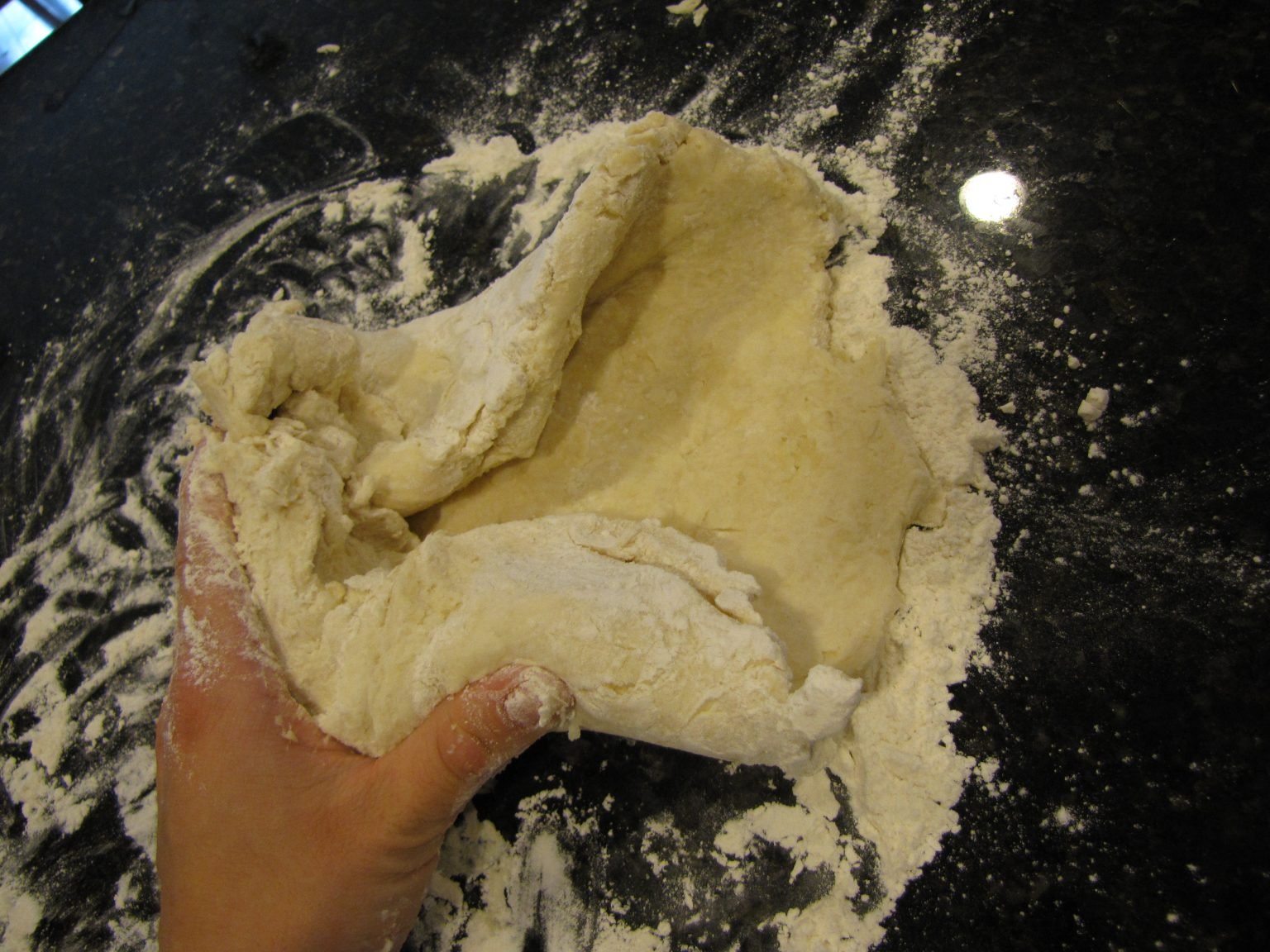 Julia Child's Pastry Dough, Pie Crust Recipe (Pizza Dough, etc