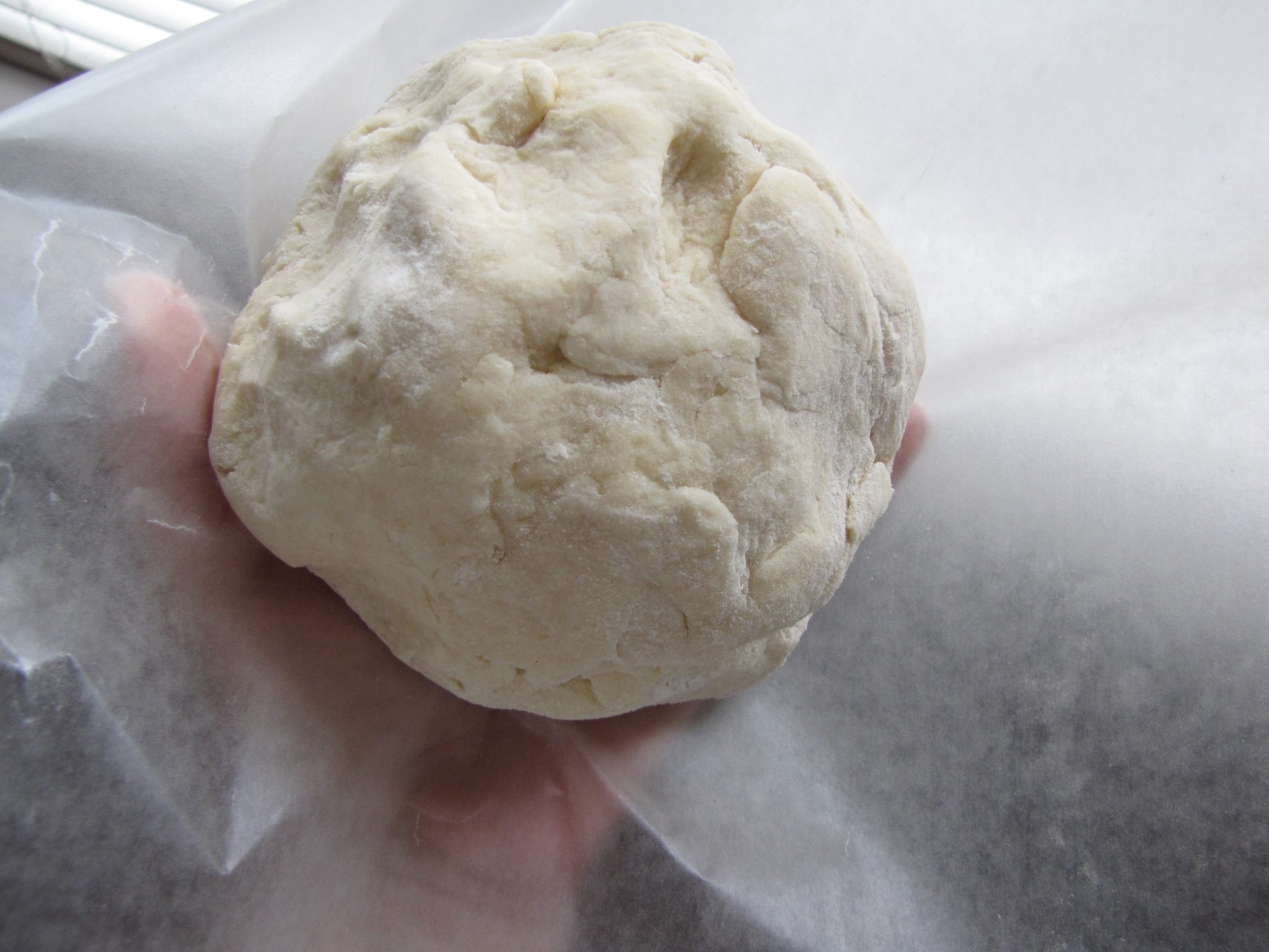 Julia Child's Pastry Dough, Pie Crust Recipe (Pizza Dough, etc