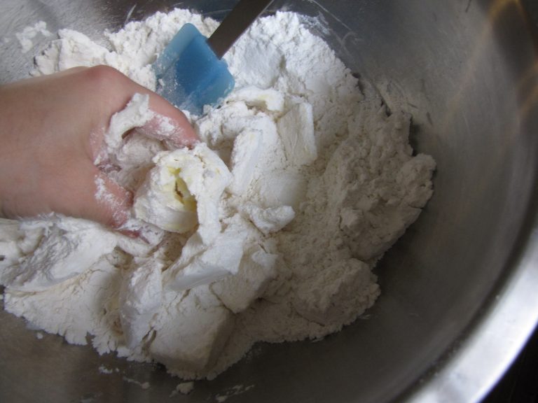 Julia Child's Pastry Dough, Pie Crust Recipe (Pizza Dough, etc