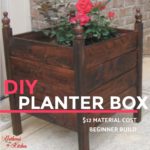 DIY $12 Raised Planter Box - beginner building plans. stained wood raised planter box with red roses planted inside