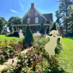 Front yard of a historic blue Victorian home decorated for Halloween with two smiling wooden ghost cutouts along the garden path on a sunny fall day. | Gathered In The Kitchen
