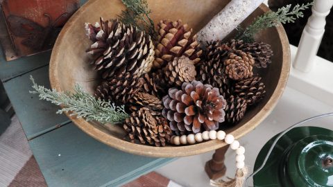 front porch styled for Christmas with red glass lantern, bench and dough bowl, greenery, pinecones, birch logs and lights!