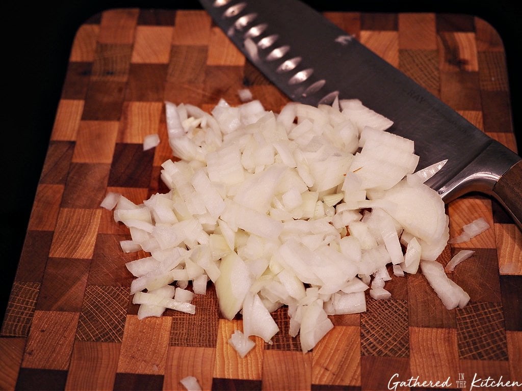 Vitamix Pizza Sauce Gathered in the Kitchen