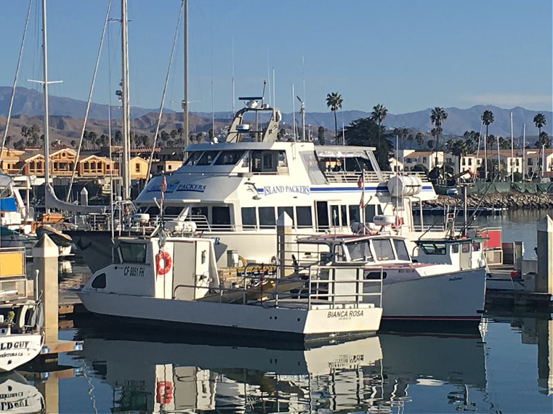 Island Packers Cruise, Ventura, California | Gathered In The Kitchen