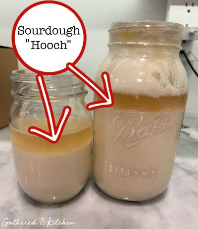 Sourdough Starter Guide Gathered In The Kitchen