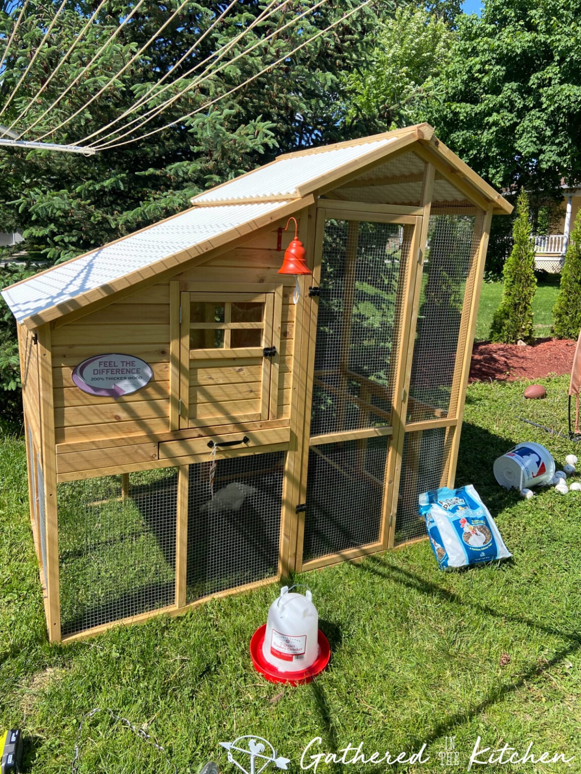 Raising Happy Backyard Chickens: Complete Guide for Beginners & Beyond ...