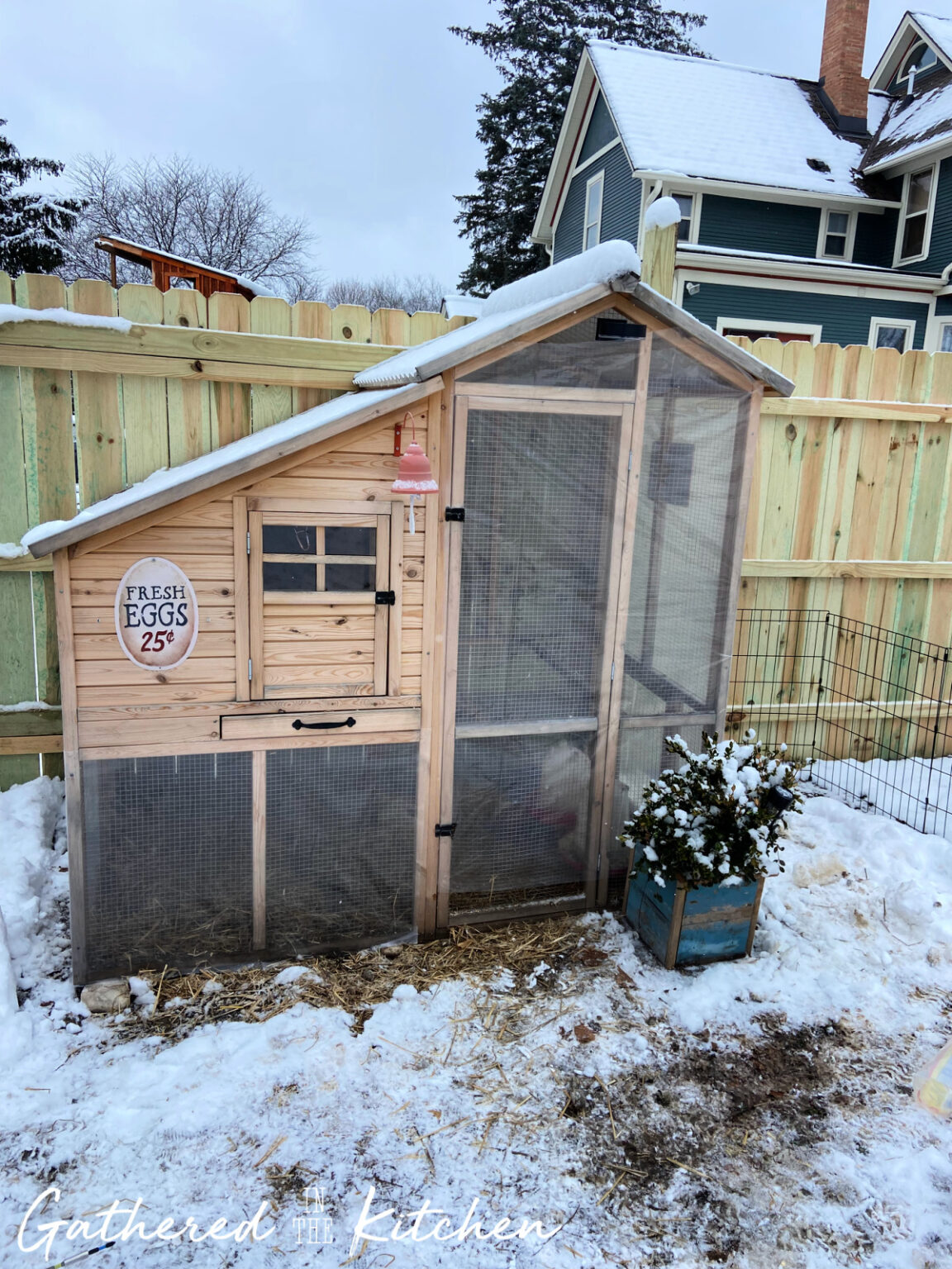 How To Insulate A Chicken Coop for Wind, Rain and Snow | Gathered In ...