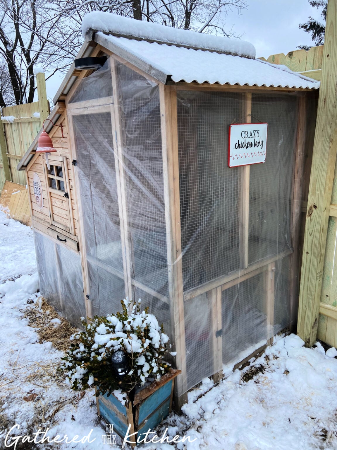 How to Set Up a Backyard Chicken Coop | Beginner’s Guide | Gathered In ...