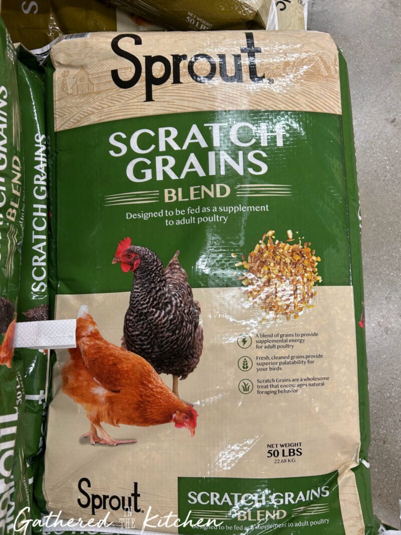 A 50 lb bag of Sprout Scratch Grains Blend, a supplemental feed for chickens made with cracked corn and grains. Scratch grains encourage natural foraging behavior and provide extra energy, especially in colder months. | Gathered In The Kitchen