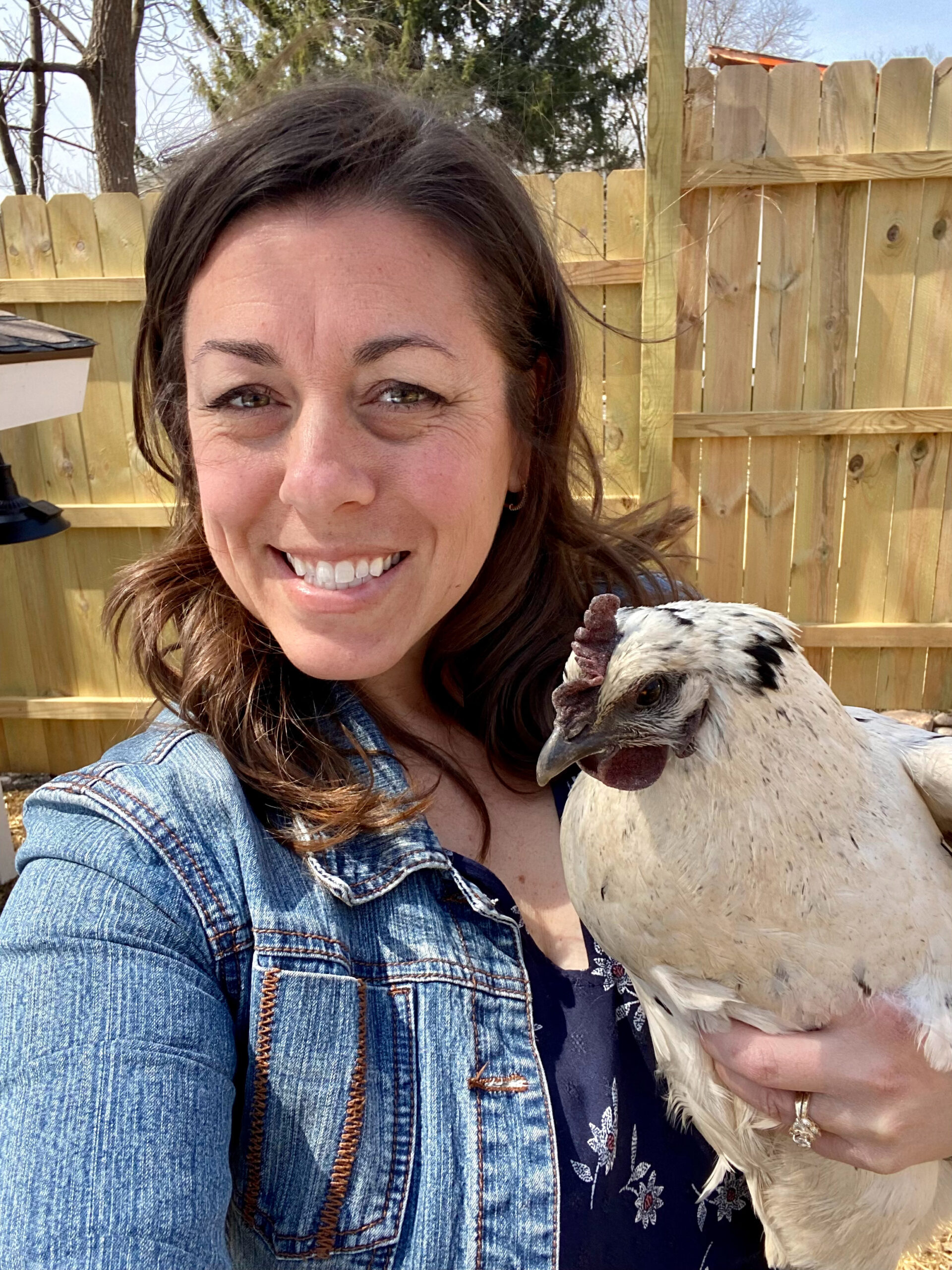 Raising Happy Backyard Chickens: Complete Guide for Beginners & Beyond ...