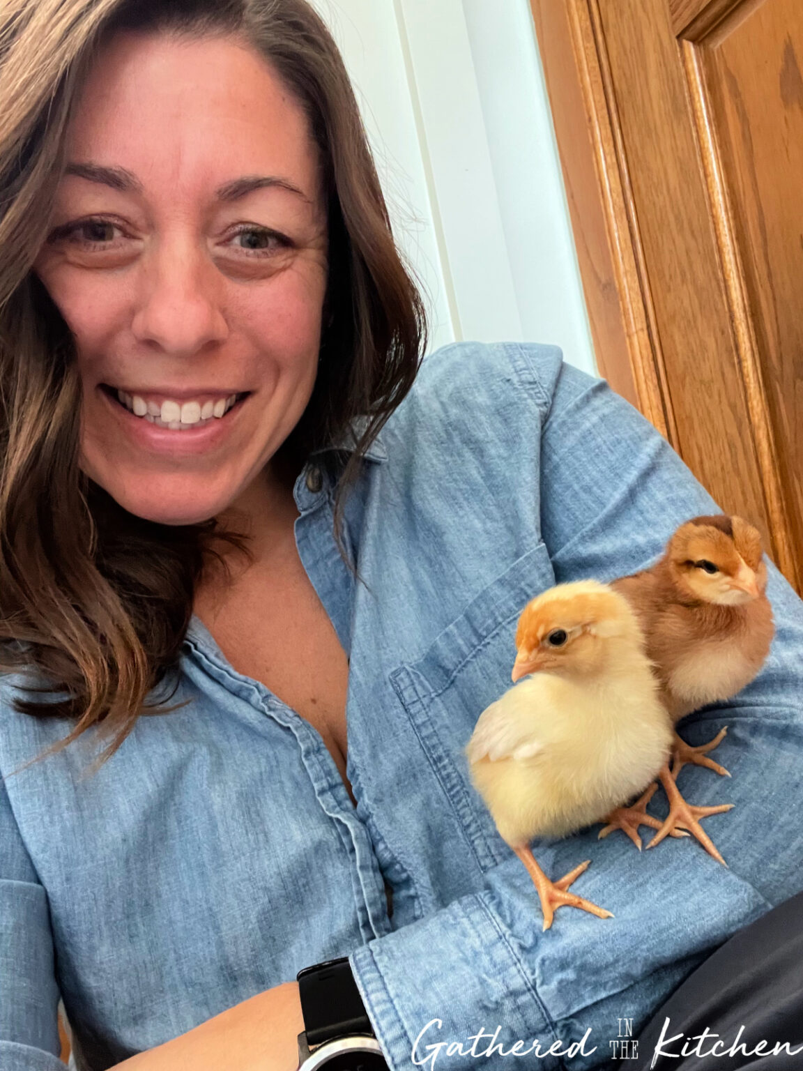 Raising Happy Backyard Chickens: Complete Guide for Beginners & Beyond ...