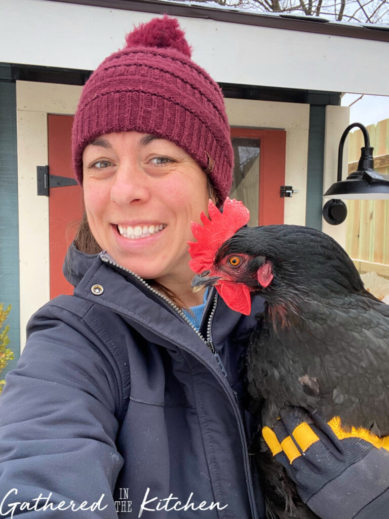 Picture of Winter Chicken Care Tips: How to Care for Chickens in Cold Weather ...