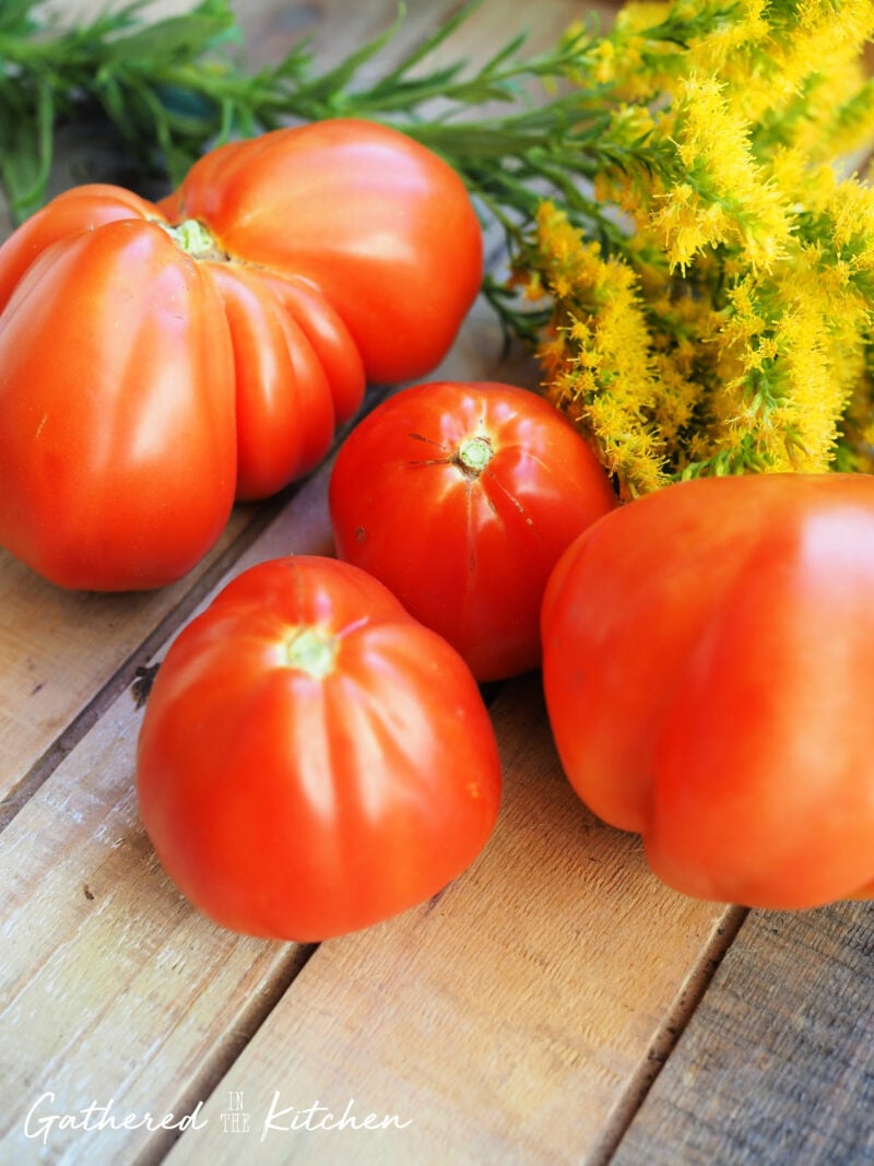 Fresh red garden tomatoes on a wooden table beside yellow flowers and herbs, the perfect base for homemade tomato basil sauce with water bath canning. | Gathered In The Kitchen 