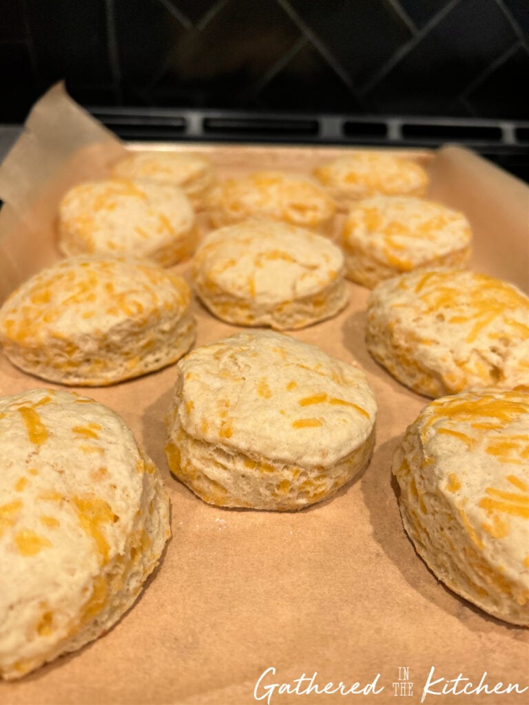 Close-up of freshly baked cheddar biscuits on a parchment-lined baking sheet, showing their golden, flaky layers and melted cheese throughout.