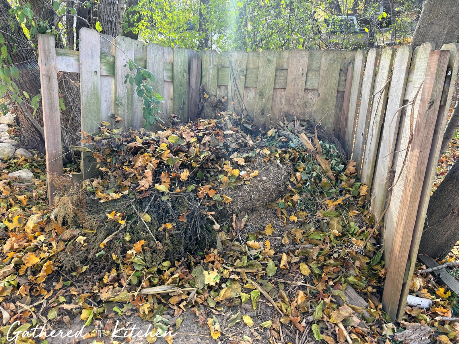 Close-up of colorful fallen autumn leaves from oak and maple trees, showing shades of yellow, brown, and green — perfect material for composting into rich, healthy garden soil. | Gathered In The Kitchen