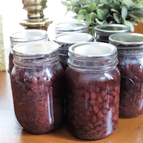 How To Safely Pressure Can Black Beans | Gathered In The Kitchen