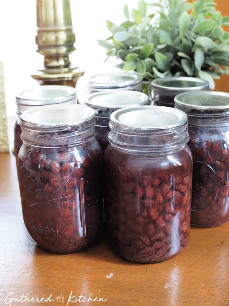How To Safely Pressure Can Black Beans | Gathered In The Kitchen