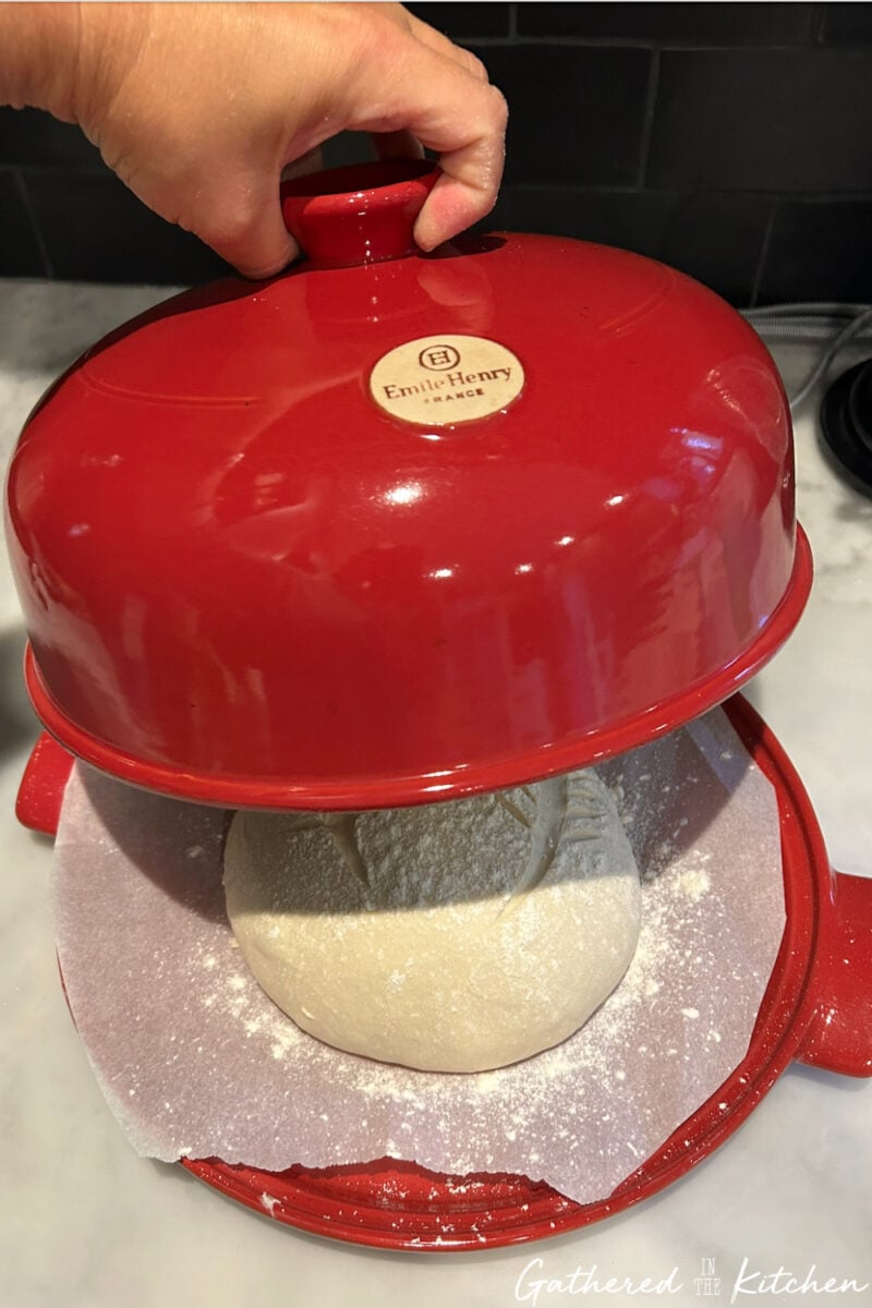 Sourdough bread dough placed on parchment paper and covered with a red bread cloche before baking | Gathered In The Kitchen 
