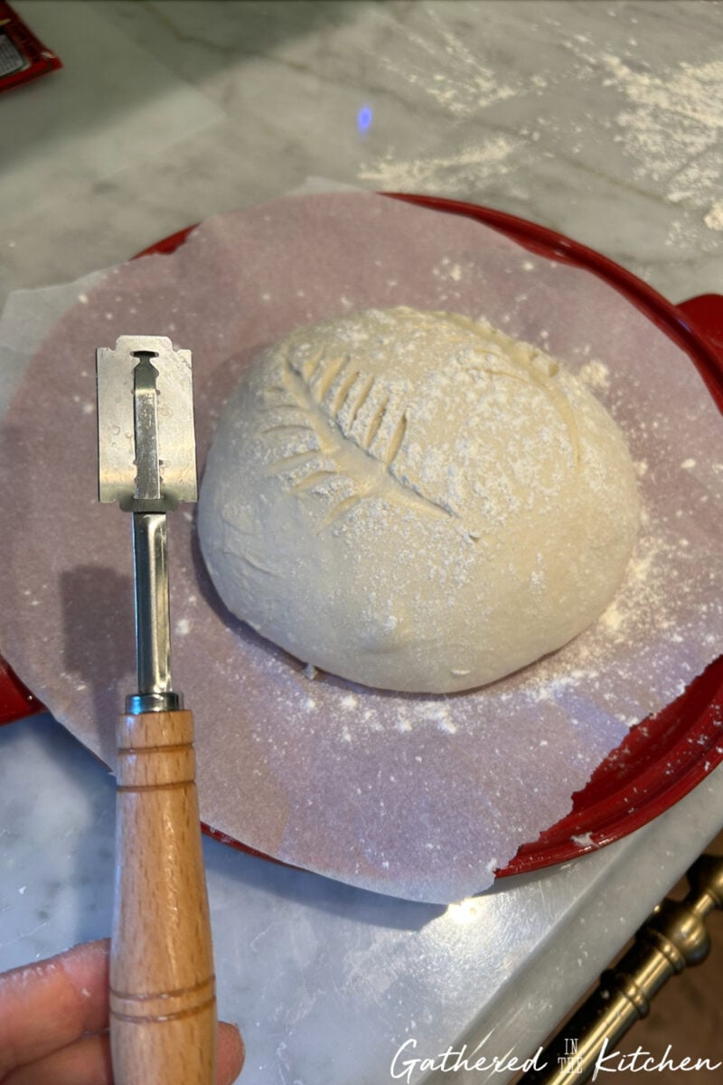 Sourdough bread dough scored with a leaf pattern using a bread lame before baking | Gathered In The Kitchen 