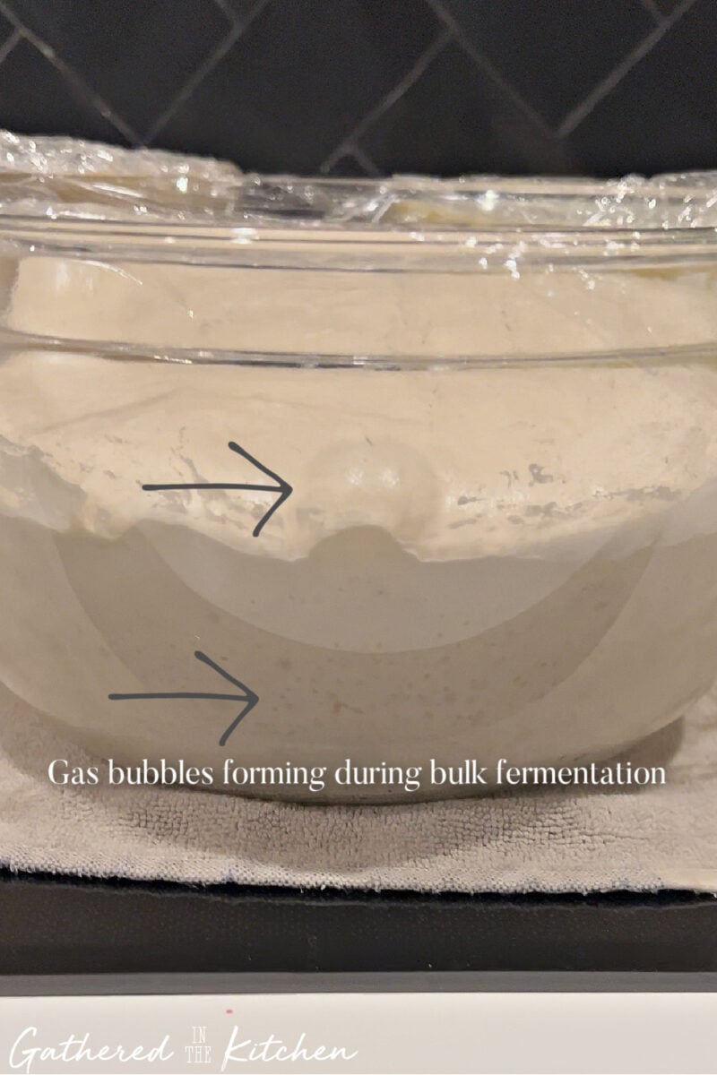 Glass bowl of sourdough dough during bulk fermentation with visible gas bubbles and aeration forming throughout the dough | Gathered In The Kitchen 