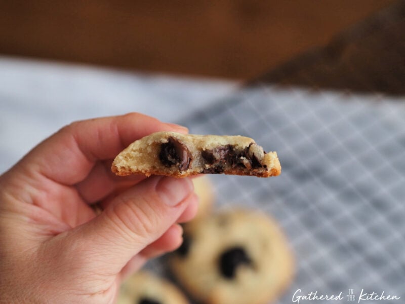 Soft chewy cranberry chocolate chip cookie texture | Gathered In The Kitchen 