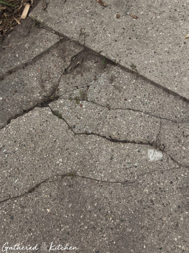 clean sidewalk cracks after removing weeds without chemicals | Gathered In The Kitchen 