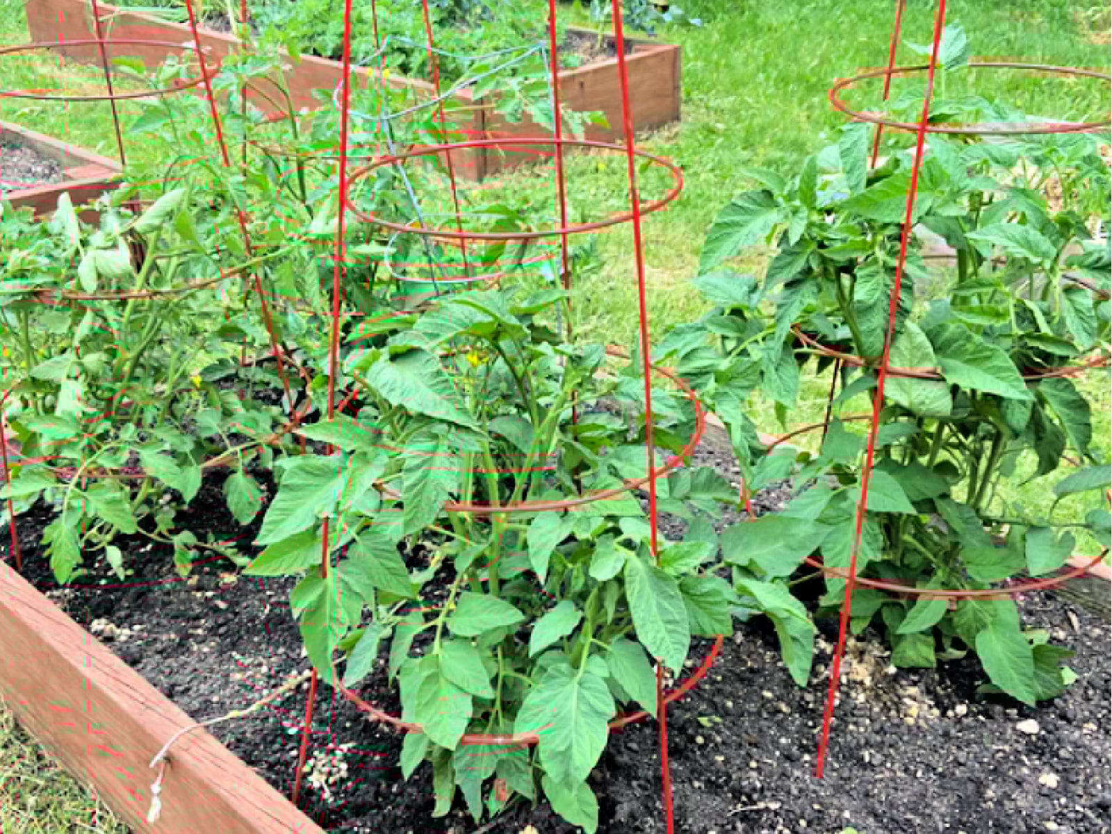 raised bed gardening | Gathered In The Kitchen 
