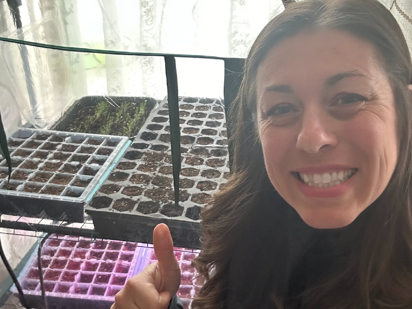 Starting Seeds Indoors  | Gathered In The Kitchen 